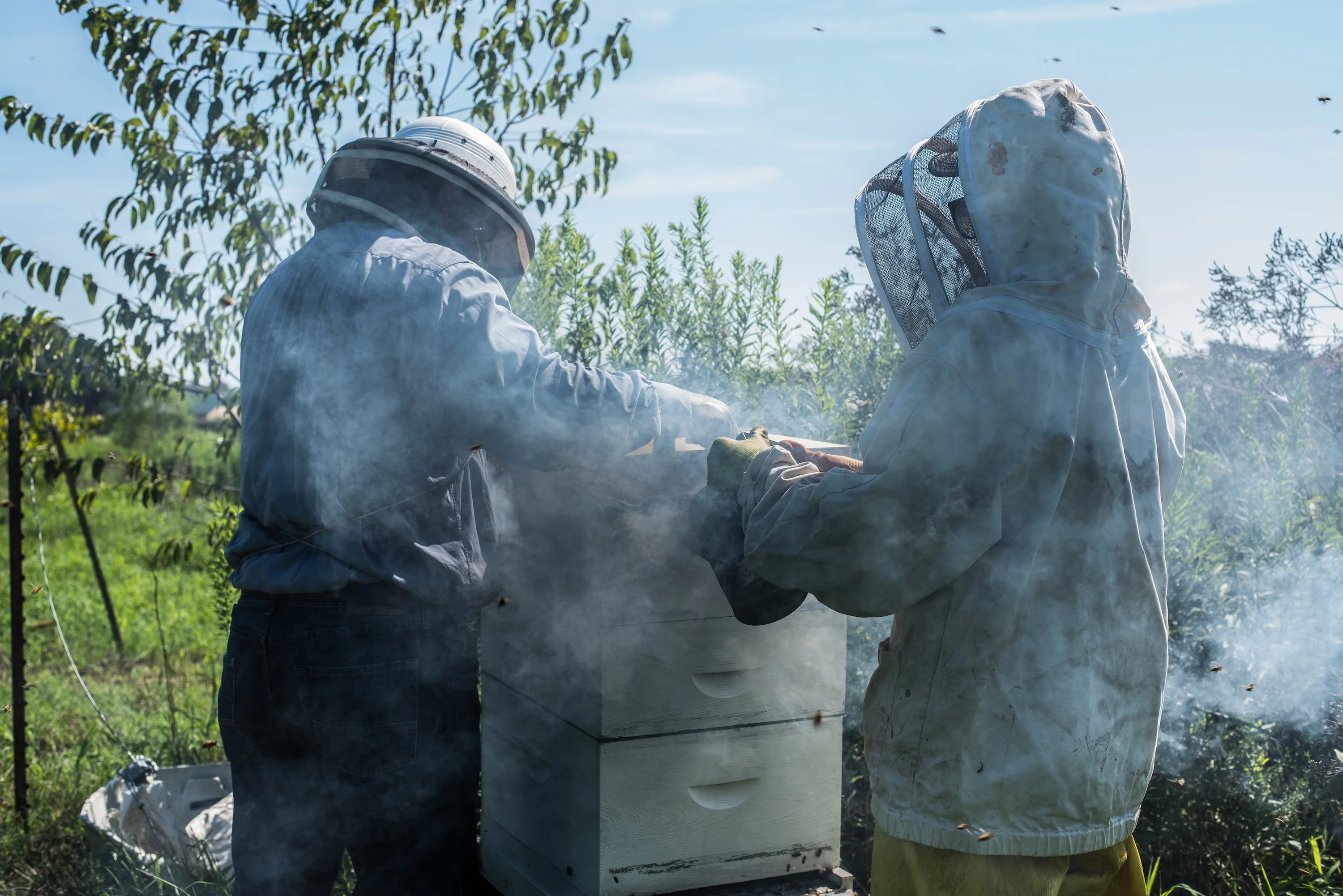 Beekeeping One-on-One - Image 3