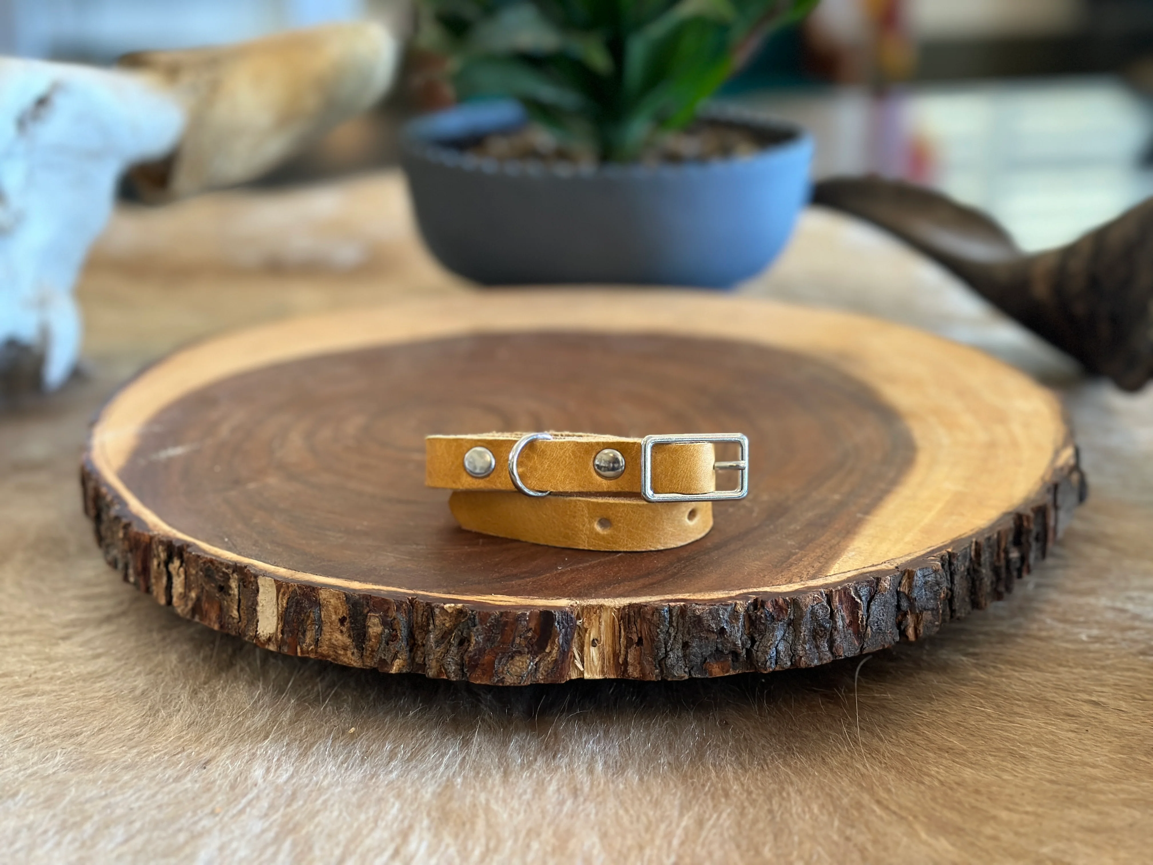 Grassfed Leather Cat Collar - Image 3