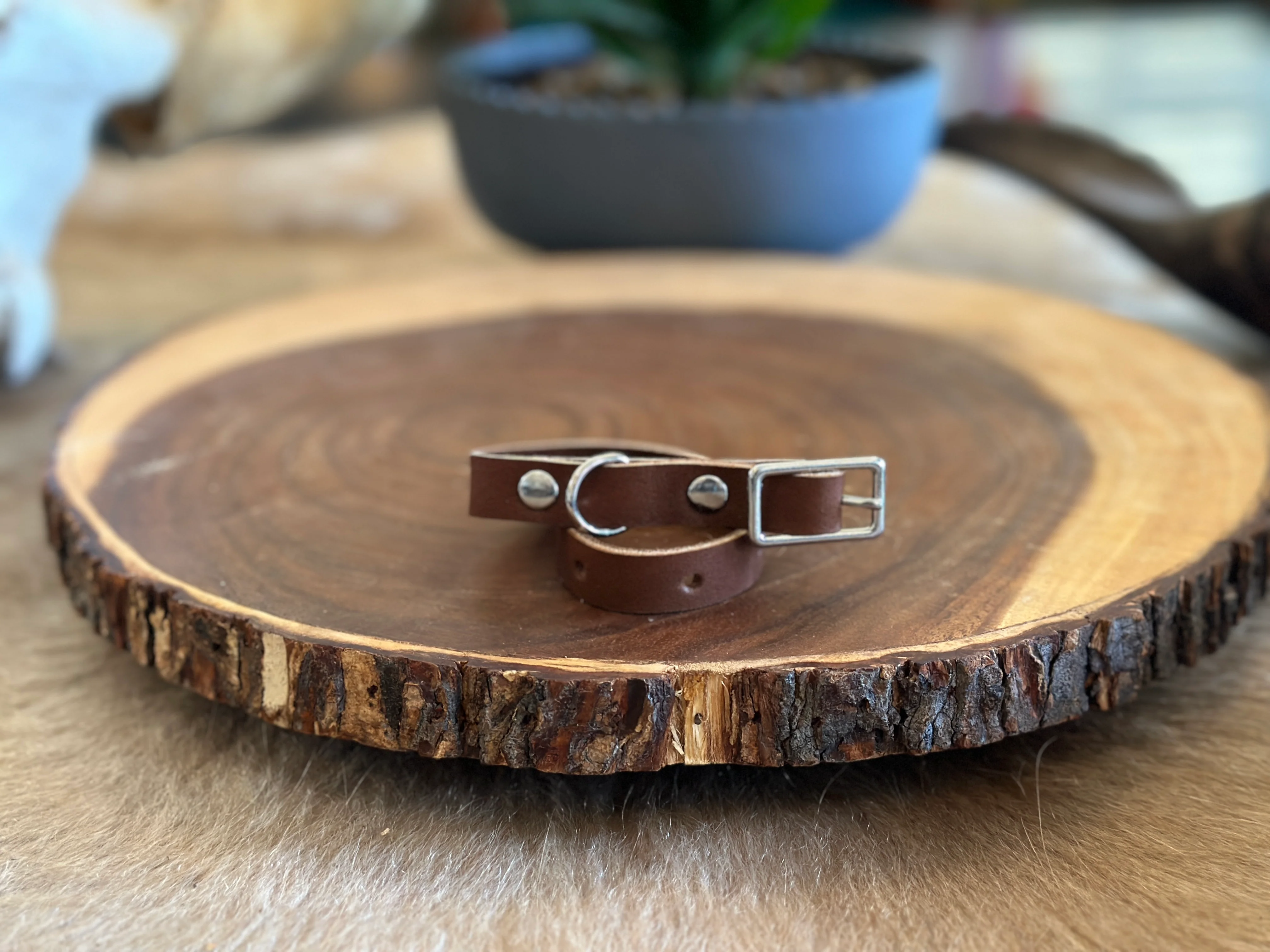 Grassfed Leather Cat Collar - Image 4