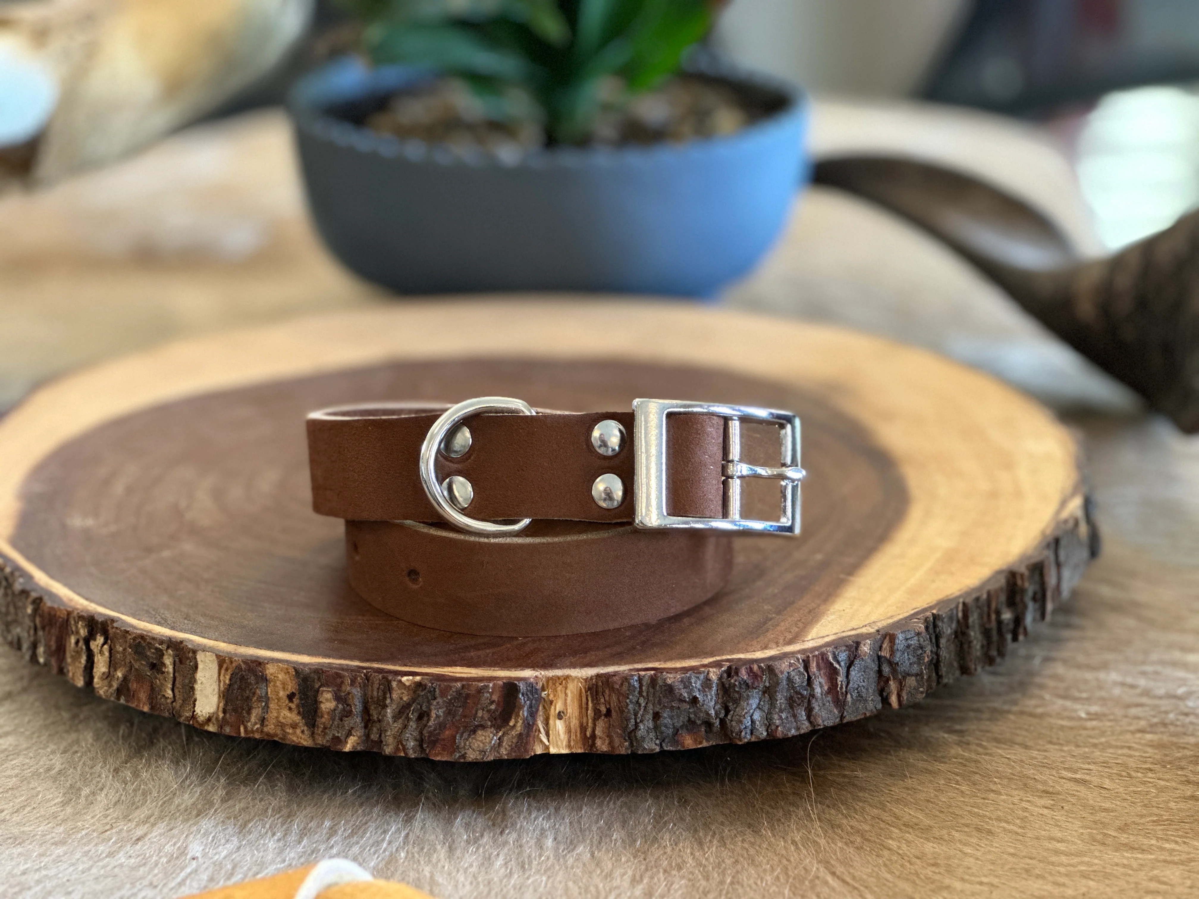 Grassfed Leather Dog Collar - Large - Image 4