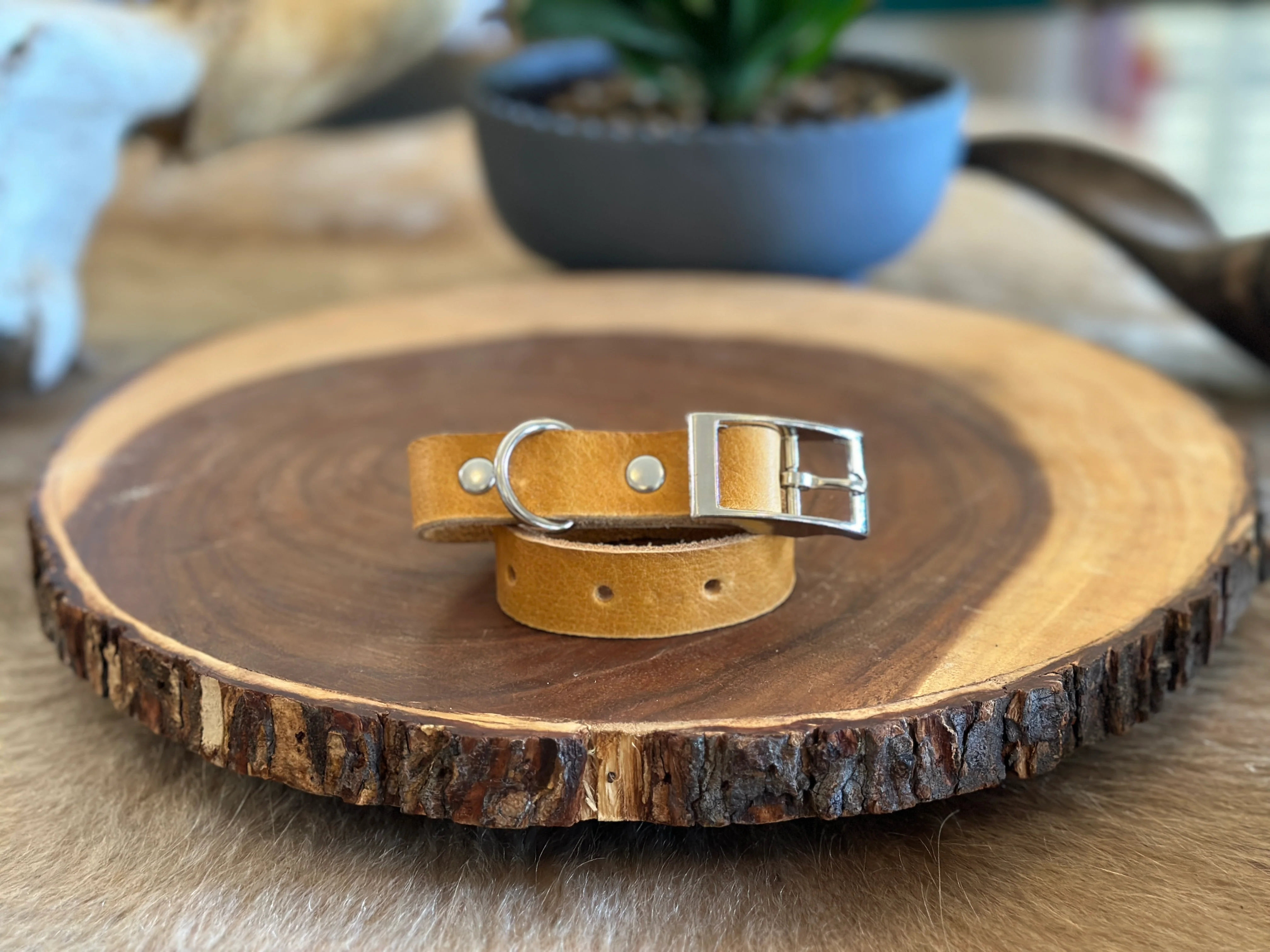 Grassfed Leather Dog Collar - Small - Image 3