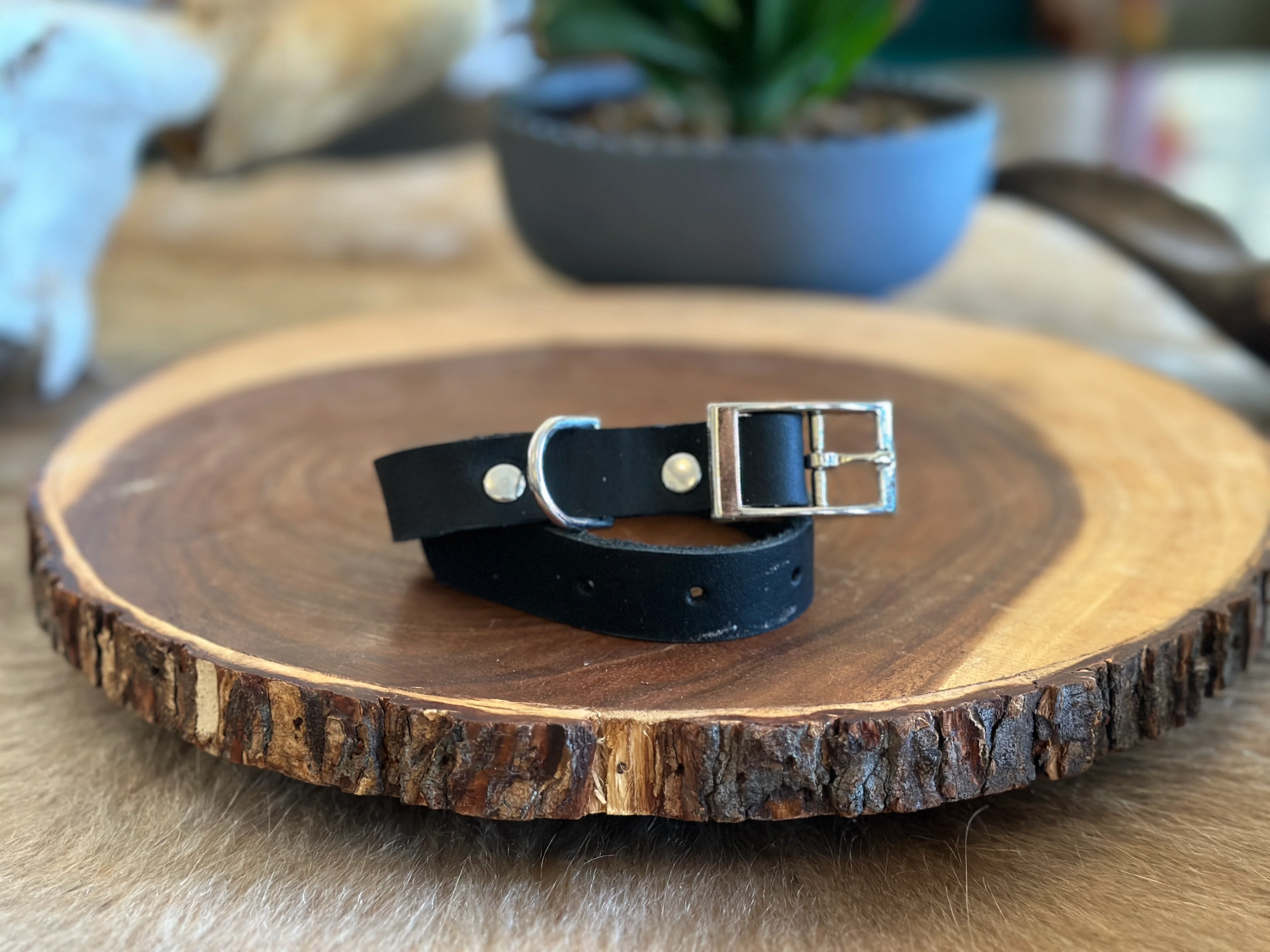 Grassfed Leather Dog Collar - Small - Image 4