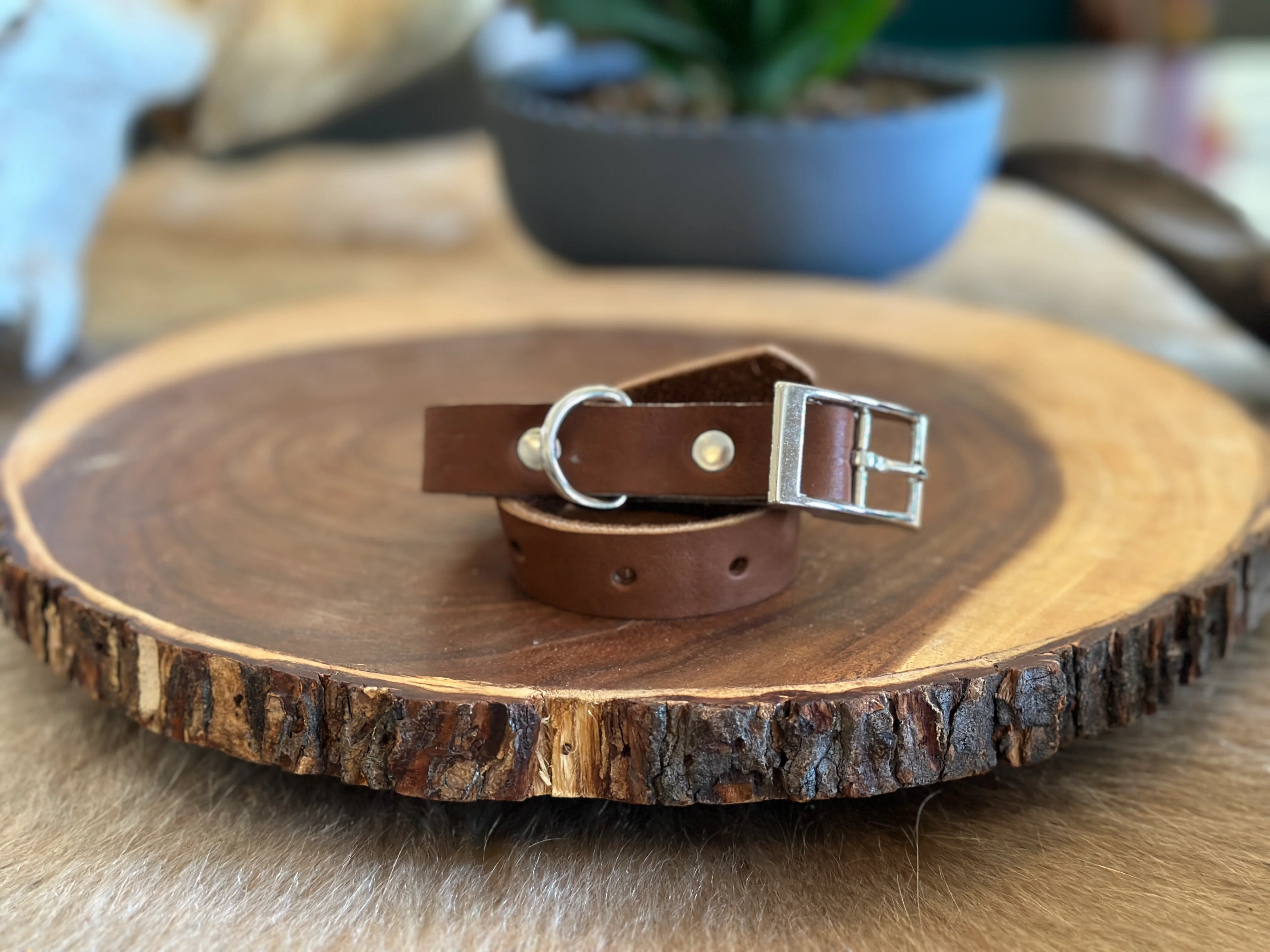 Grassfed Leather Dog Collar - Small - Image 5