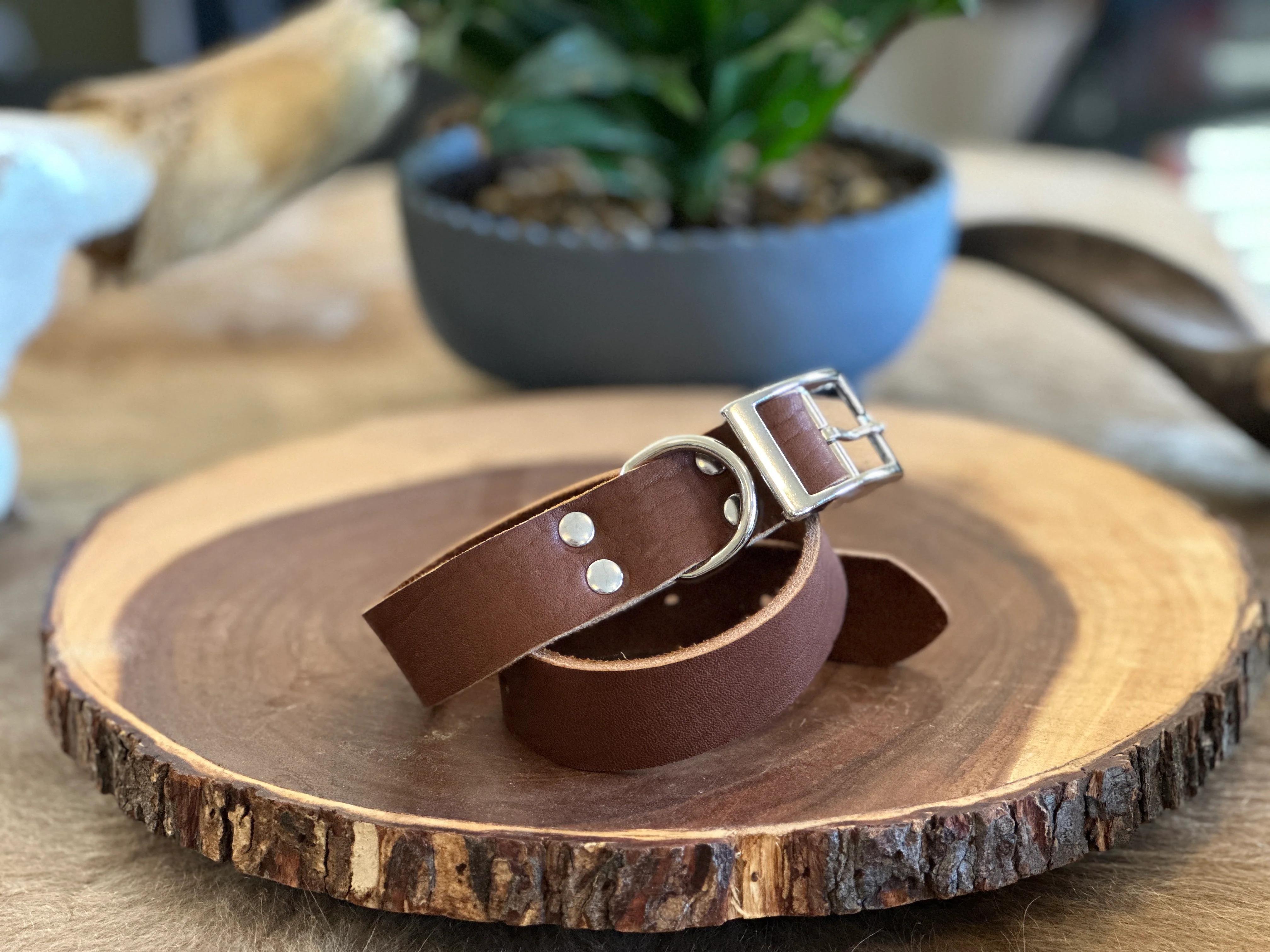 Grassfed Leather Dog Collar - XL - Image 4