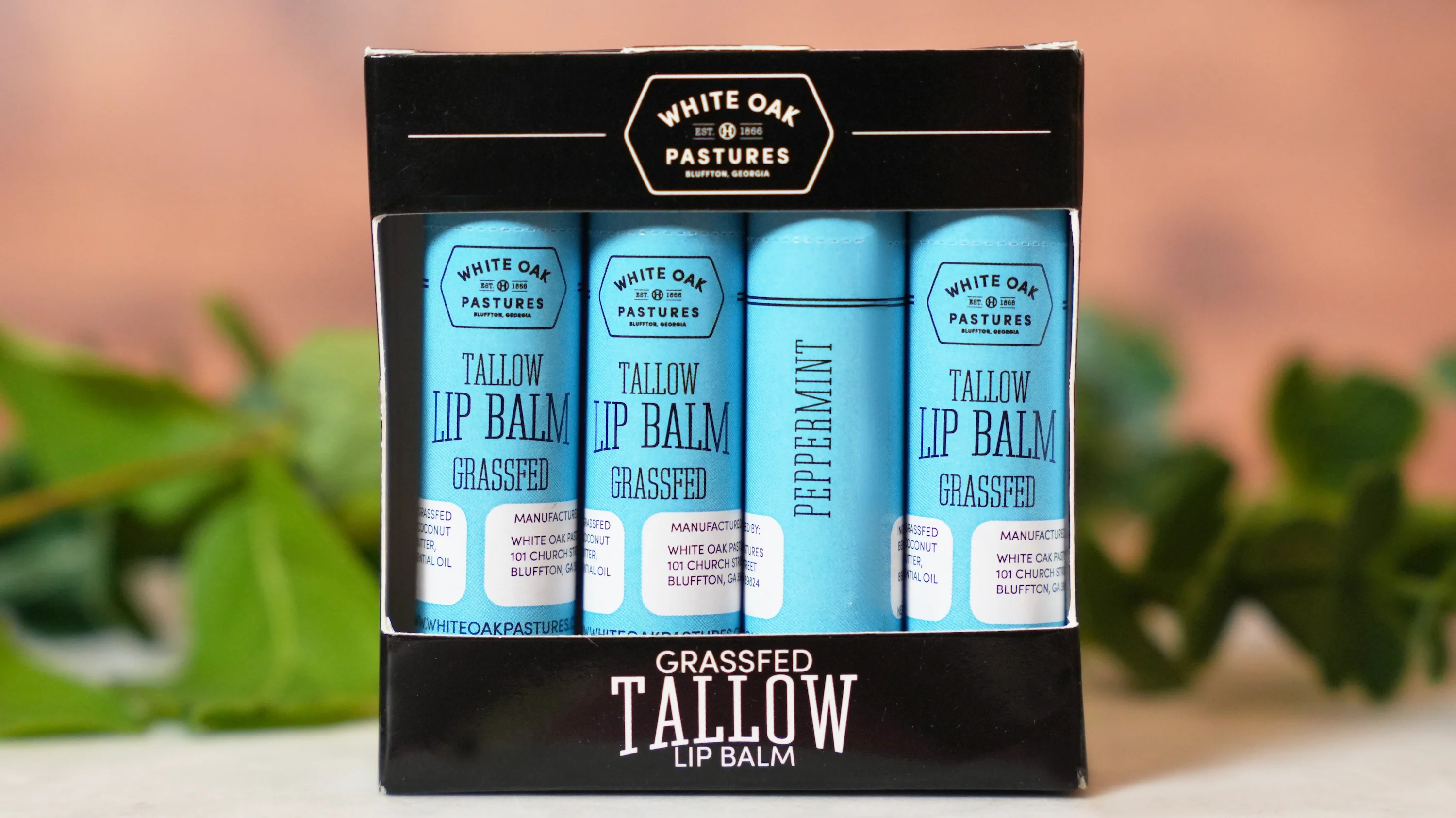 Tallow Lip Balm 4pk - Image 4