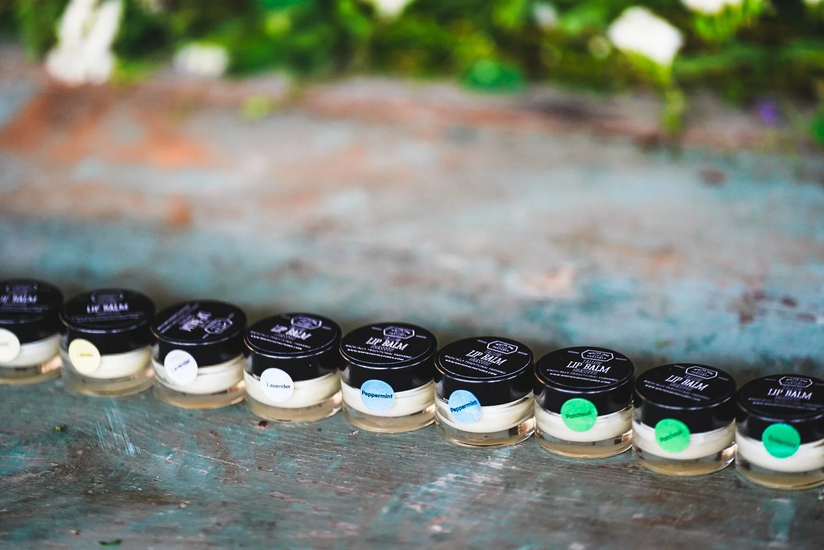 Tallow Lip Balm - Glass - Image 4