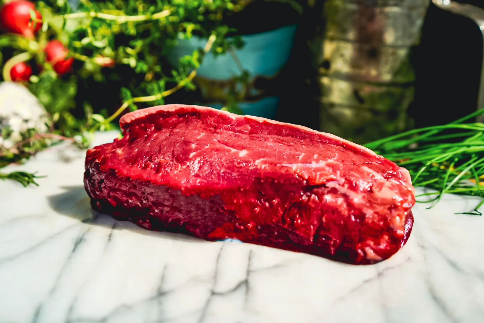 The Carnivore Bundle - Image 3
