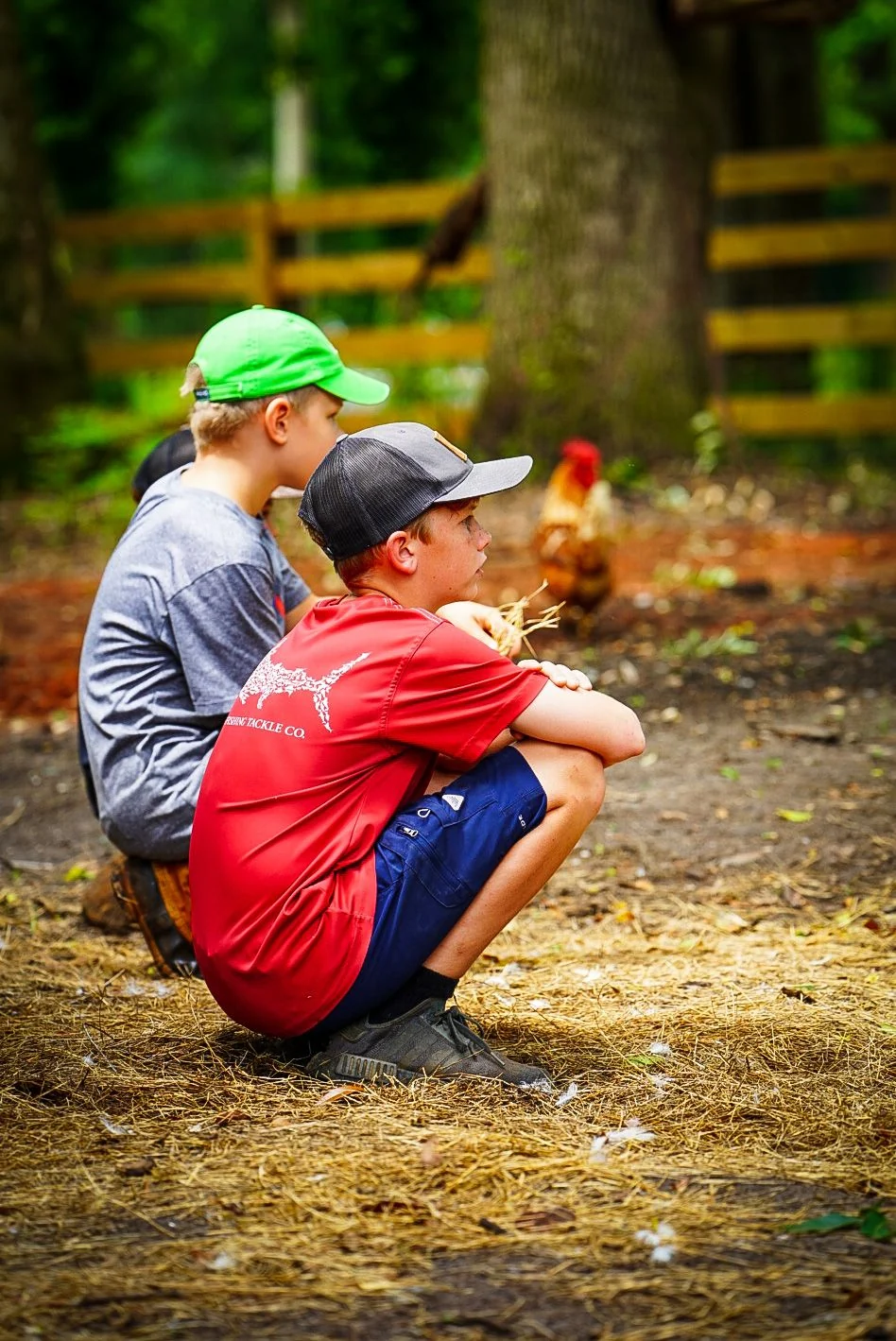 Young Farmers Summer Camp - Image 4