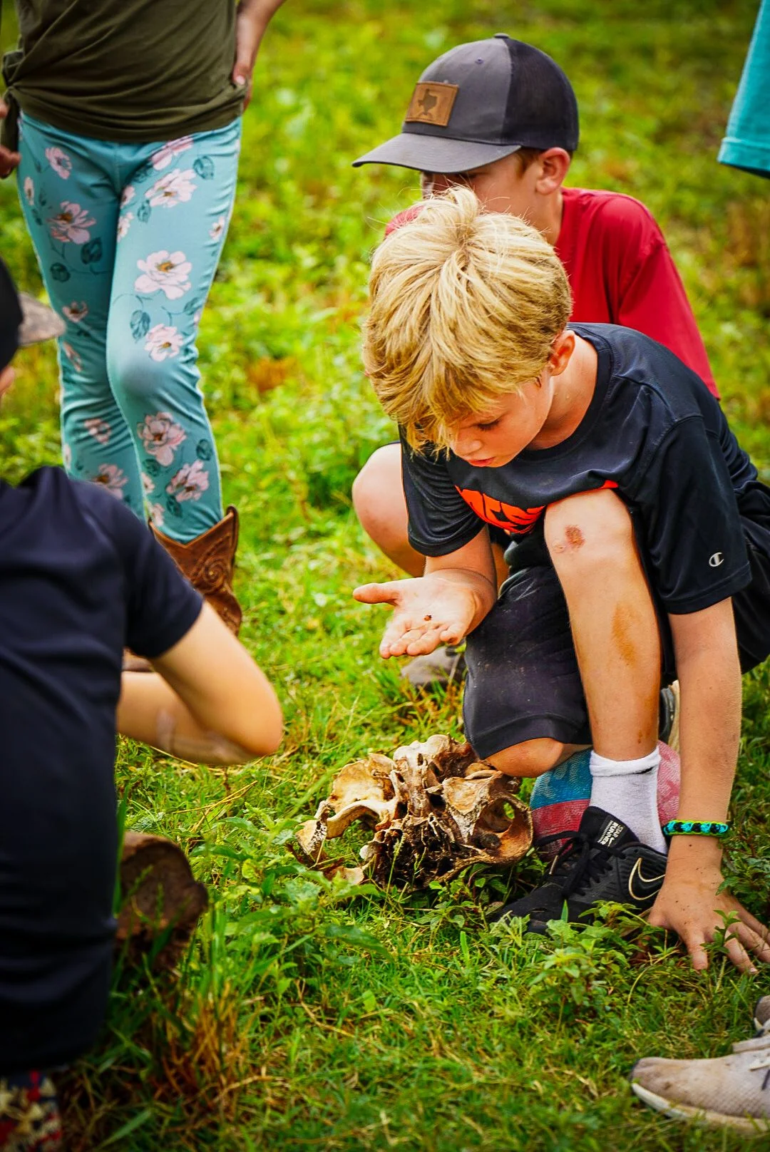 Young Farmers Summer Camp - Image 5